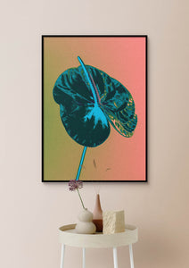 Anthurium - Vivid, Colourful Art Print