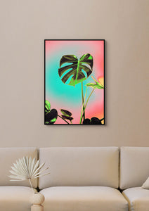 Monstera - Vivid, Colourful Art Print