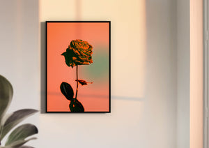 Rose - Vivid, Colourful Art Print