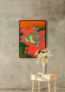 Gladioli - Vivid, Colourful Art Print