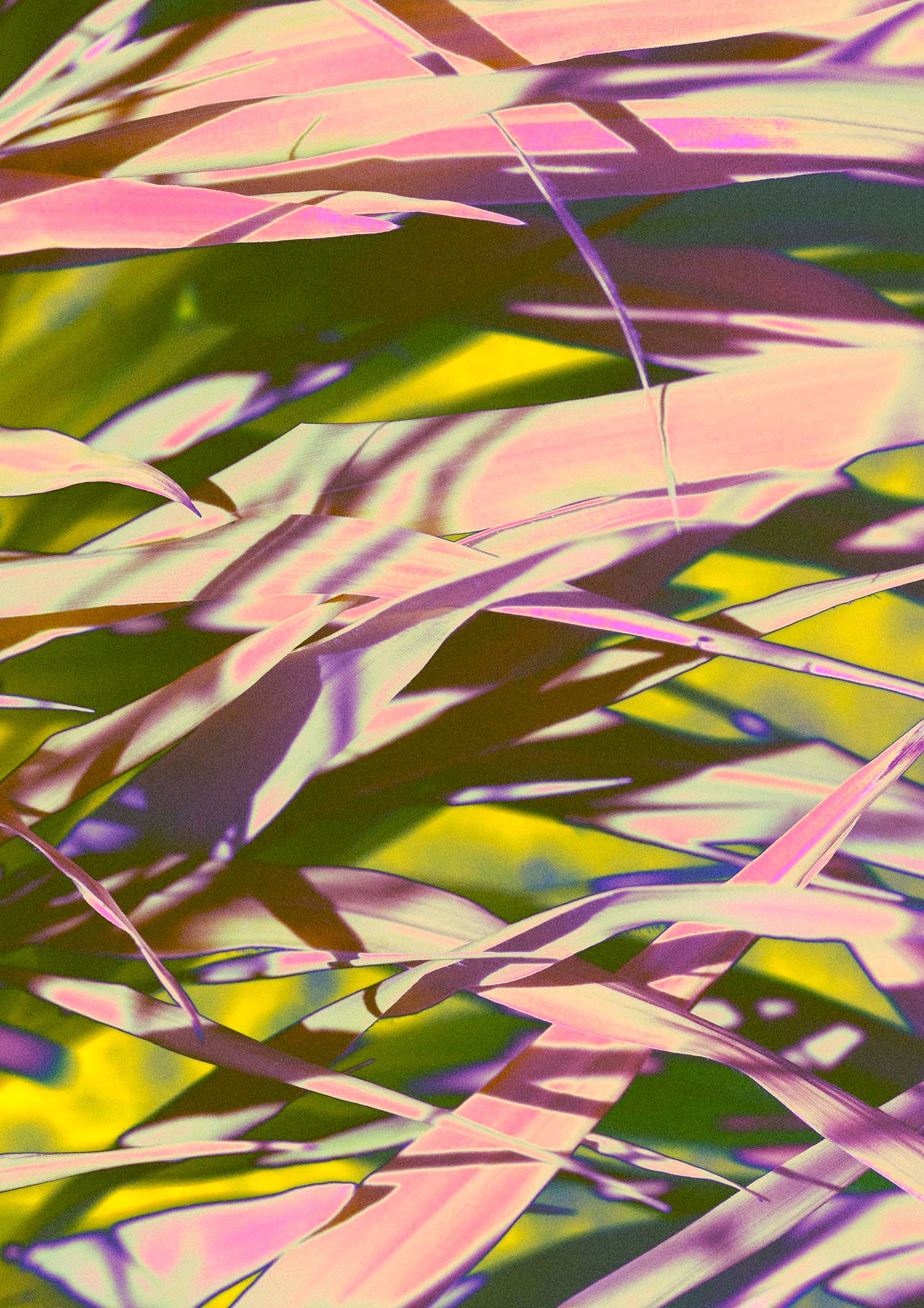 Layered Leaves - Colourful Art Print