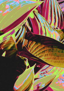 Leaf Structure - Colourful Art Print