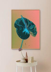 Anthurium - Vivid, Colourful Art Print