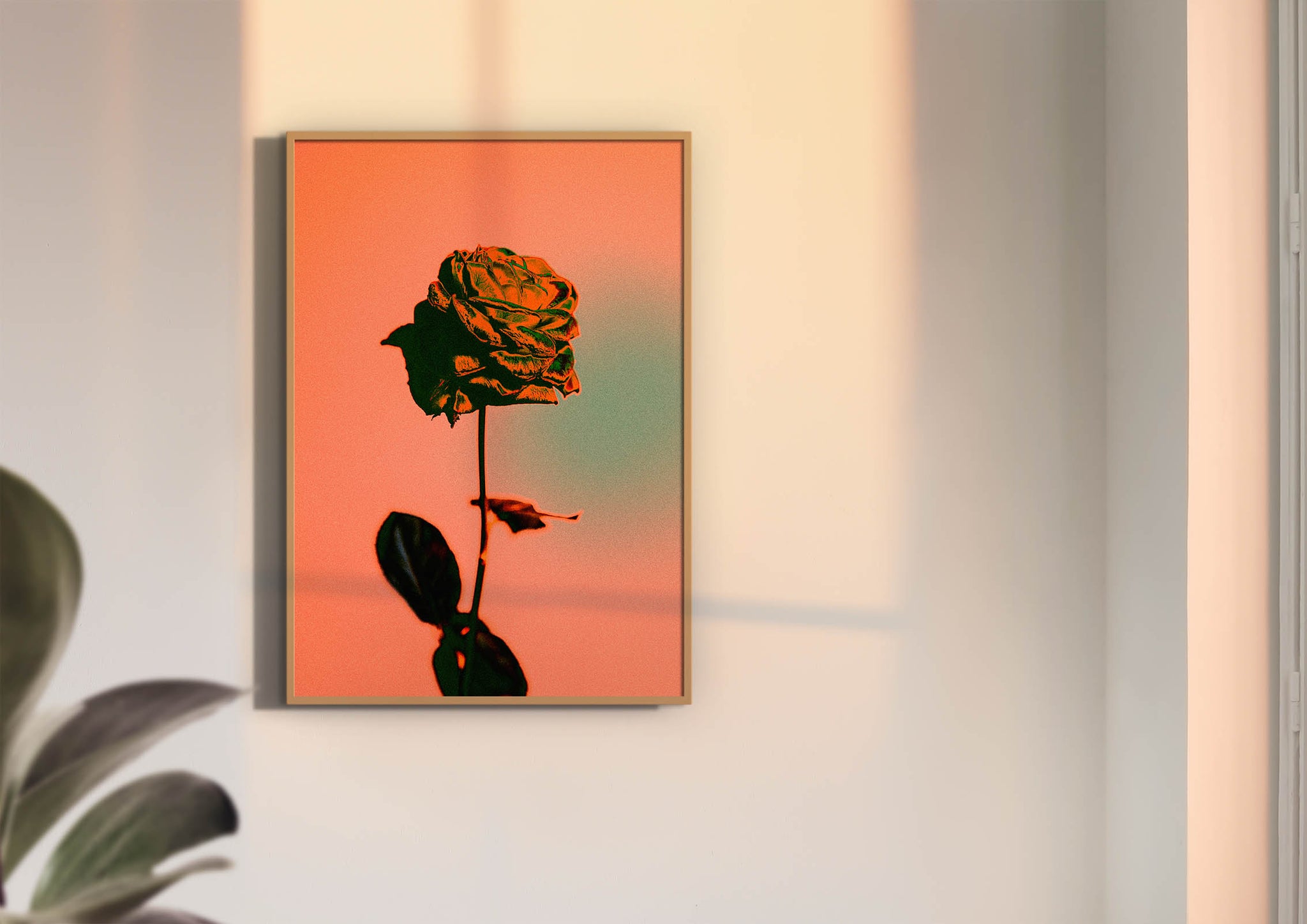 Rose - Vivid, Colourful Art Print